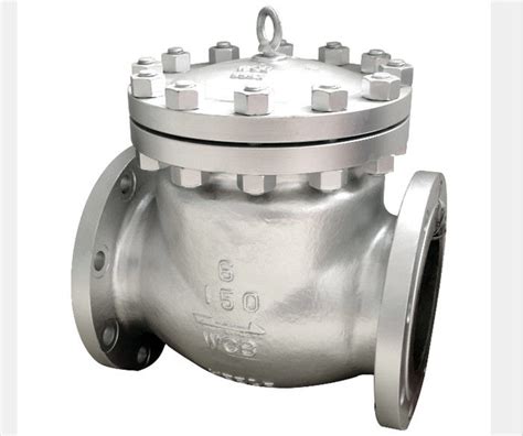 Bw Flanged End Swing Check Valve Stellited Threaded Seat Wcb Cf3m Cf8m