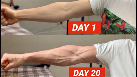 Vascular Forearms In Only 20 Days Youtube