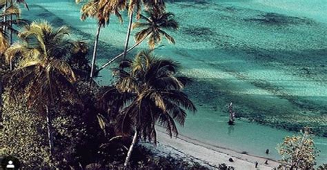 Bacaan misa tgl 28 februari 3021 misa minggu prapaskah ii 28 februar… Mengenal Pulau Awera di Mentawai, Pantainya Sepi dan Belum Terjamah
