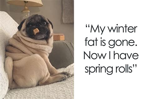 117 Spring Puns That Might Sprout Some Happiness Bored Panda