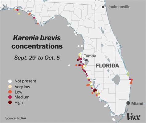 Red Tide Why Floridas Toxic Algae Bloom Is Killing Fish Manatees