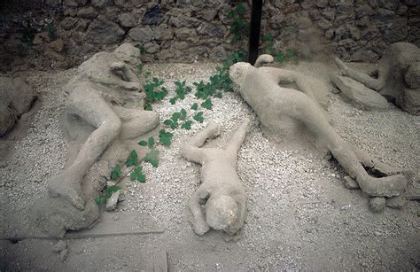 Frozen In Time The Citizens Of Pompeii Fossilized By Volcanic Ash