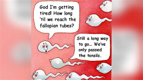 Two Sperm Cells Talking Trending Images Gallery List View Know Your Meme