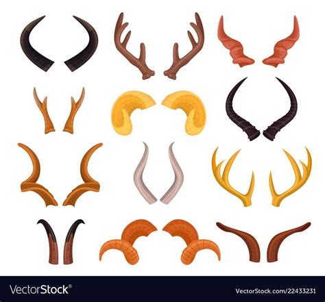 Pin On Animals Horns
