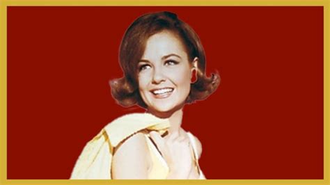 Shelley Fabares Net Worth 2022 Age Height Weight Biography Wiki