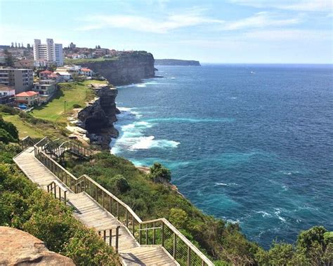 Guide To The Federation Cliff Walk Sydney Uncovered