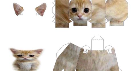 Munchkin Kitty Papercraft Meme
