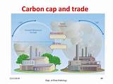 How To Trade Carbon Credits Images