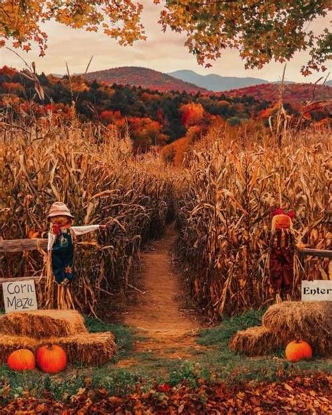 Leafloving In 2020 Haunted Corn Maze Corn Maze Autumn Cozy