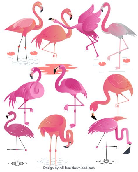 Flamingo Vectors Free Download 64 Editable Ai Eps Svg Cdr Files