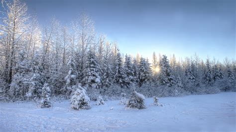 Download Wallpaper 1600x900 Snow Trees Sunset Winter Hd