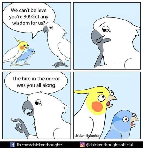 Funny Comics About Birds 30 Pics