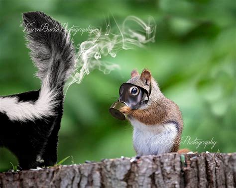 Funny Squirrel Print Whimsical Animal Art Skunk Spray Funny Animal