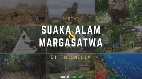 Daftar Suaka Alam Dan Margasatwa Di Indonesia Portal Ilmu Com
