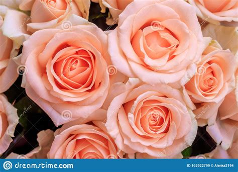 Bouquet Of Delicate Roses A Background Of Floral Roses Beautiful