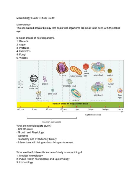 Microbiology Exam 1 Study Guide Microbiology Exam 1 Study Guide