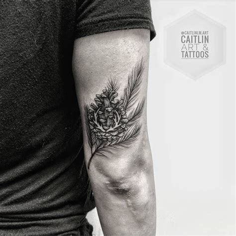 Pine Cone Tattoo By Caitlinlmart Plant Tattoo Botanical Tattoo