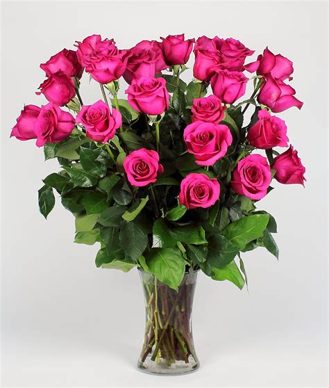 Bright Pink Long Stemmed Roses 24 In Saint Paul Mn Iron Violets