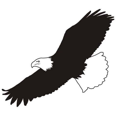 Bald Eagle Clip Art Image Silhouette Eagle Png Download Free Transparent Bald