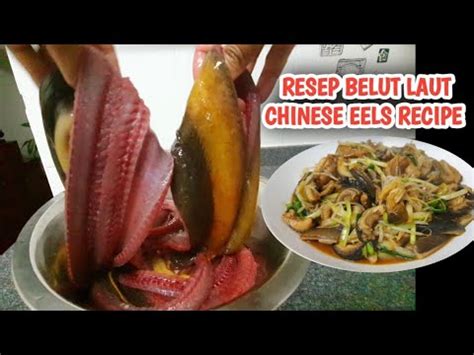 Resep Belut Laut Kucai Yang Simple Chinese Stir Fry Eels Recipe YouTube