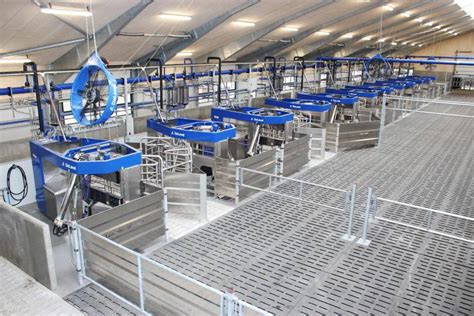 Delaval Launches New Batch Robot Milking System Free