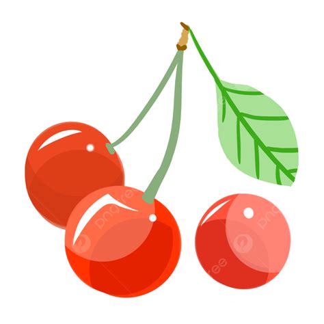 Cherry Png Transparent Cherry Fruit Delicious Cherry Red Fruit Png