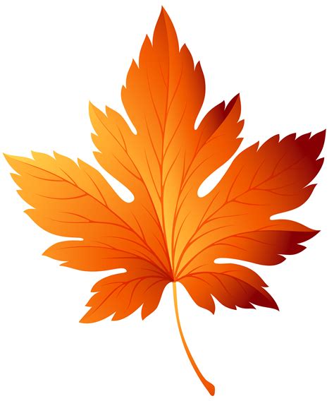 Autumn Leaf Transparent Picture Free Download Free Pictures