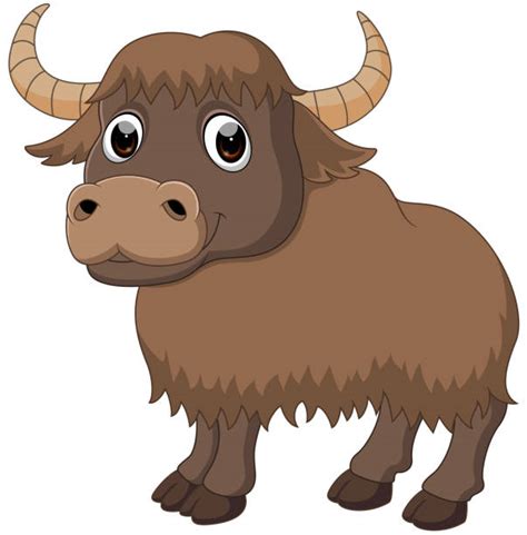 Royalty Free Yak Clip Art Vector Images And Illustrations Istock