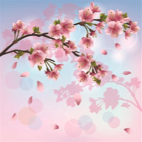 Japan Cherry Blossoms Free Vector Eps Uidownload