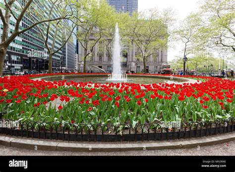 Bowling Green Park With Flowers And Fountain Downtown New York City