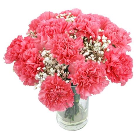 Pink Carnations Flower Delivery Brought To You By Clare Florist