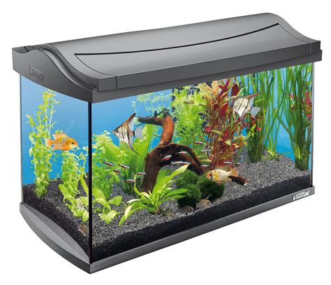 Tetra Aquarium Aqua Art Complete Set 60l 615x34x43cm Petway Ltd