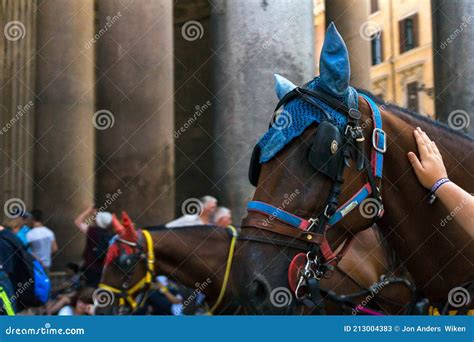 Horses Infront Of Pantheon Roman Temple And Catholic Church In Rome