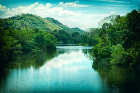 Periyar River In Kerala India Stock Photo Download Image Now Istock
