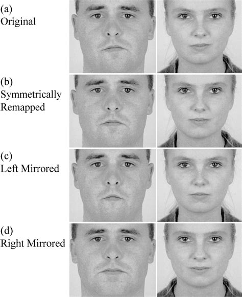 figure 1 from symmetry and human facial attractiveness semantic scholar