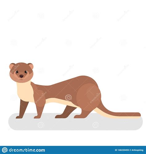Weasel Animal With A Brown Fur Cute Funny And Small Stock