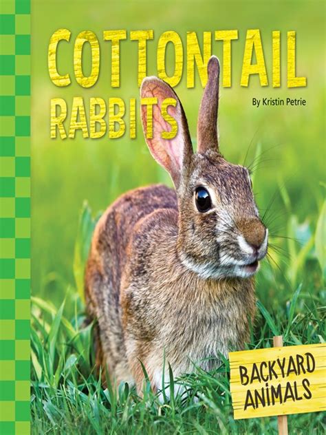 Kids Cottontail Rabbits King County Library System Overdrive