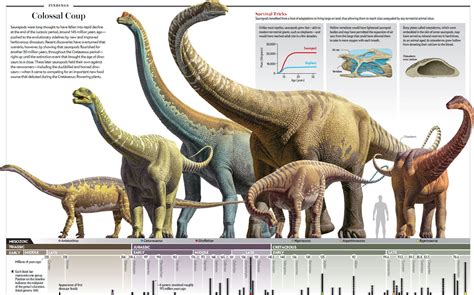 Sauropods Throughout The Mesozoic Era Dinosaur Prehistoric Animals