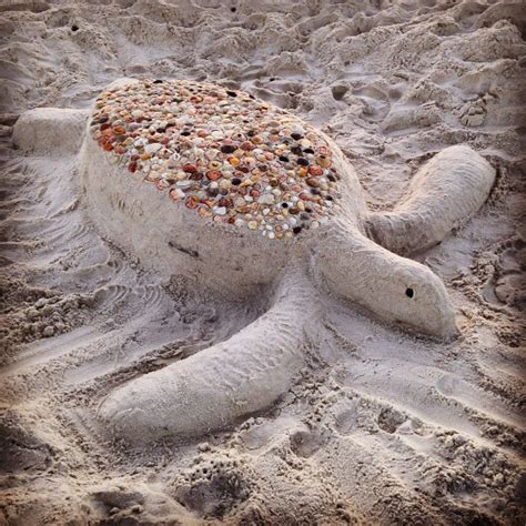 Turtle Talk Castles Made Of Sand Friends Of South Walton Sea Turtles