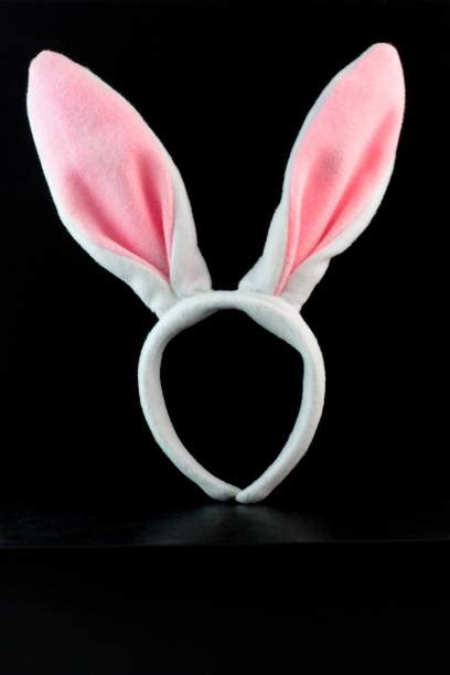 Isolated Bunny Ears Stock Photos Pictures And Royalty Free Images Istock