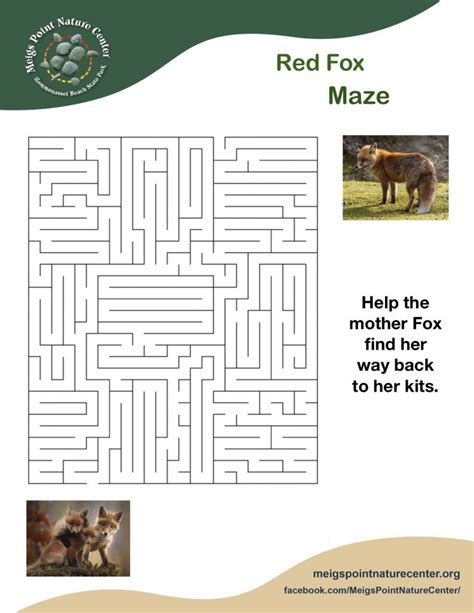 Fox Maze Meigs Point Nature Center