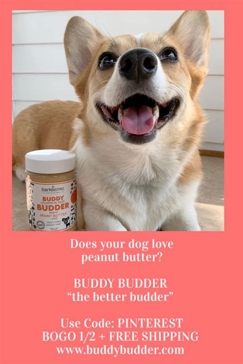 Best Peanut Butter For Dogs Australia Catherina Hannah