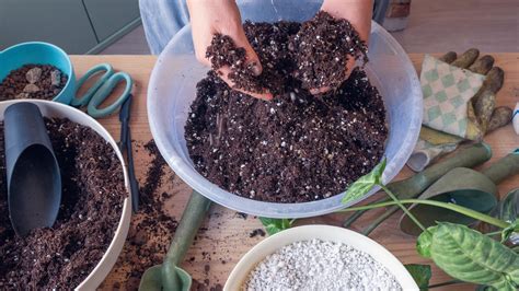How To Make Your Own Potting Mix Diy Potting Mix The Old Farmer S