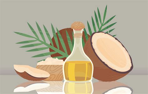 Coconut And Oil 10825364 Vector Art At Vecteezy