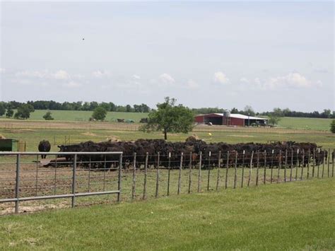 Shop with afterpay on eligible items. 1610 Acre Ranch : Ranch for Sale in Honey Grove, Lamar ...