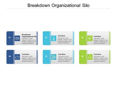 Silo Organizational Structure Ppt Powerpoint Presentation Infographic