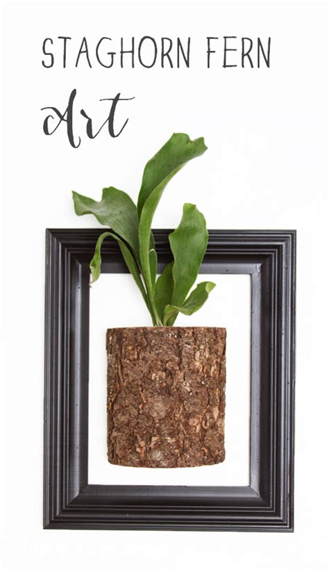 We invite you to feed your multiple imagination with the pieces of art showcased below and leave your valuable feedback in the comment. Staghorn Fern Wall Art | Not JUST A Housewife