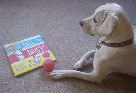 Red Ball Daisy Book Woof Woof Mama
