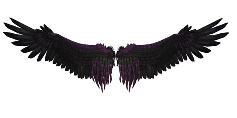Black Wings Png Transparent Image Download Size 1024x512px
