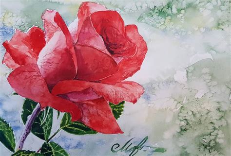 Red Rose Watercolor Painting Painting By Tigran Movsisyan Saatchi Art